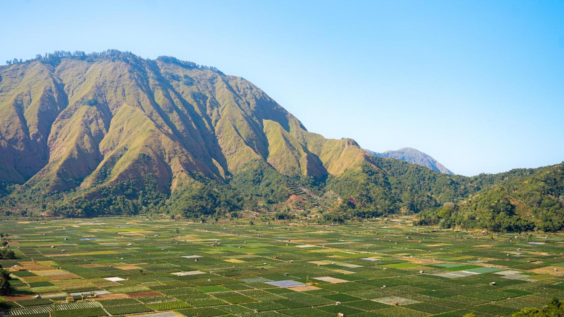 Bobocabin Gunung Rinjani, Lombok サンバラン・ラワン エクステリア 写真